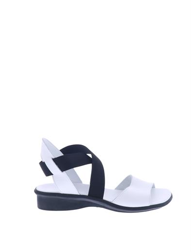 arche satia