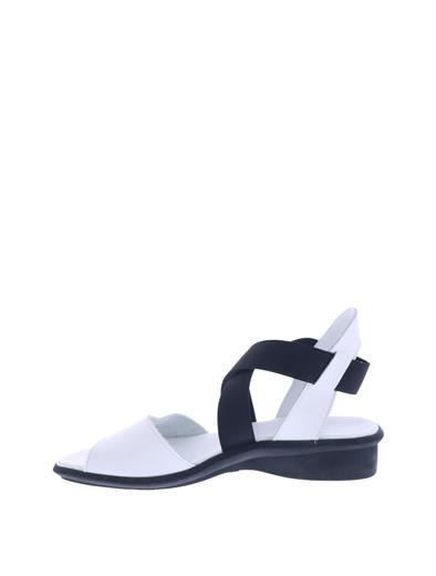 arche satia