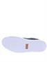blackstone pm 56