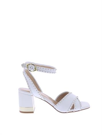 bruno premi bw1701