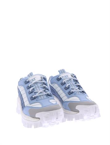 cat footwear intruder