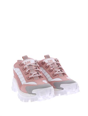 cat footwear intruder