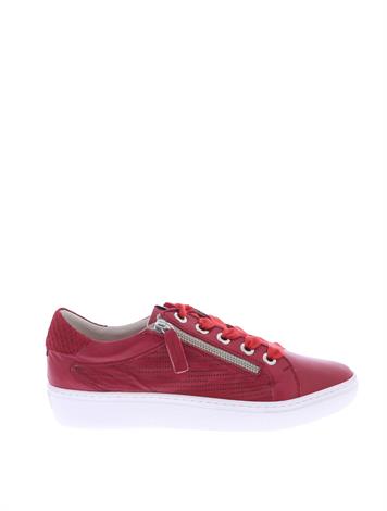 dl sport 4202