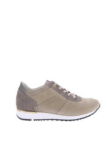 dl sport 4233