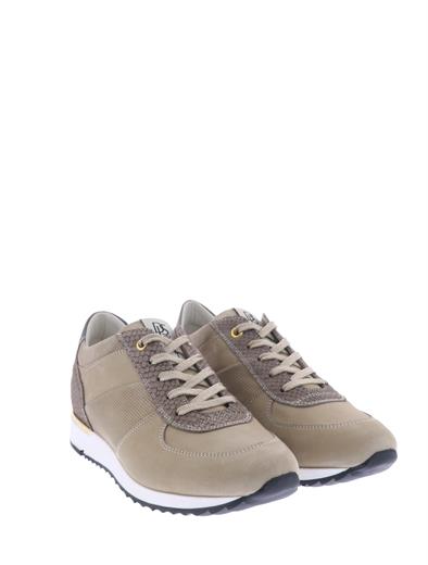 dl sport 4233