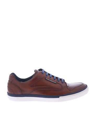 floris van bommel 14279