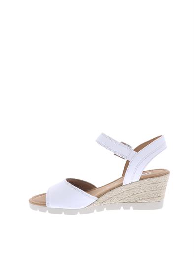 gabor 22-842