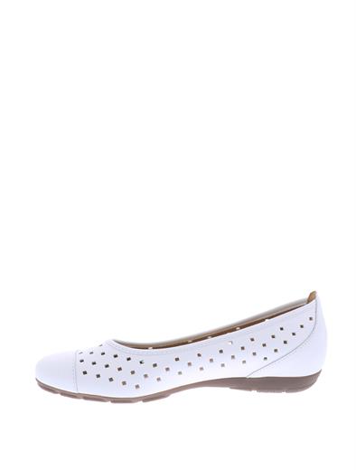 gabor 24-169