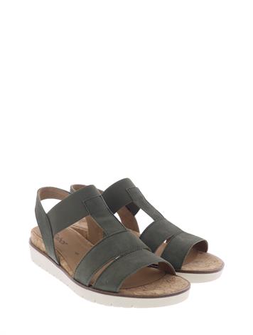 gabor 24-501