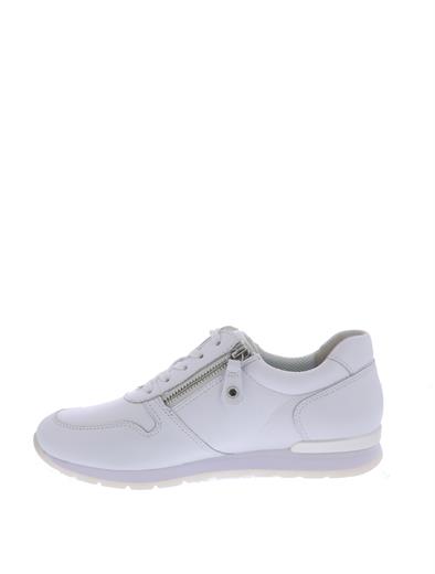 gabor 26-364
