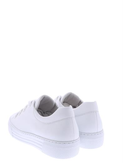 gabor 26-464