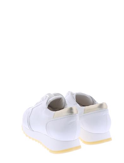 hassia 301819
