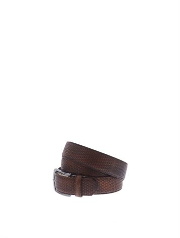rehab belt.2