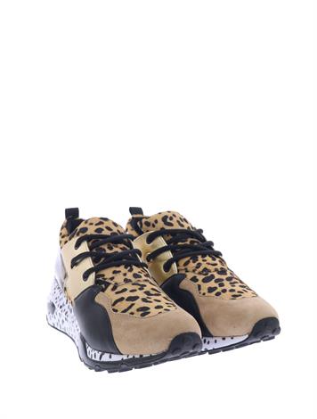 steve madden cliff