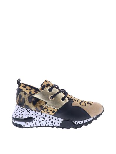 steve madden cliff