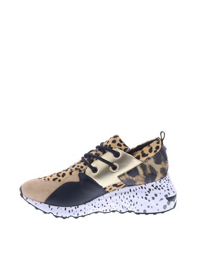 steve madden cliff