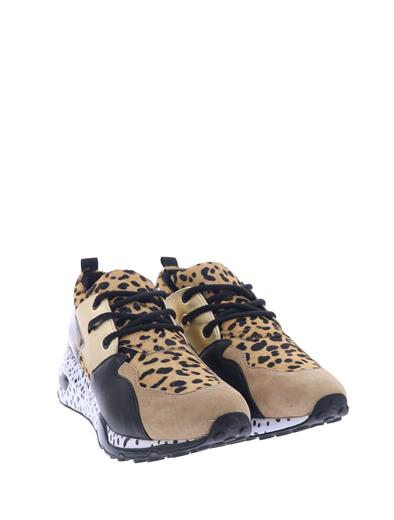 steve madden cliff