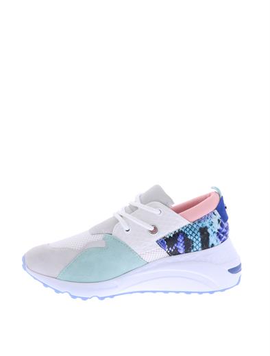steve madden cliff