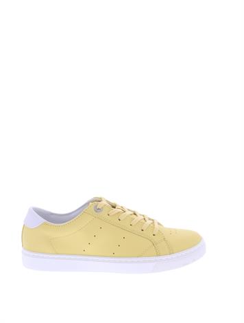 tommy hilfiger pop color city
