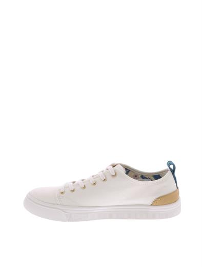 toms trvl lite low